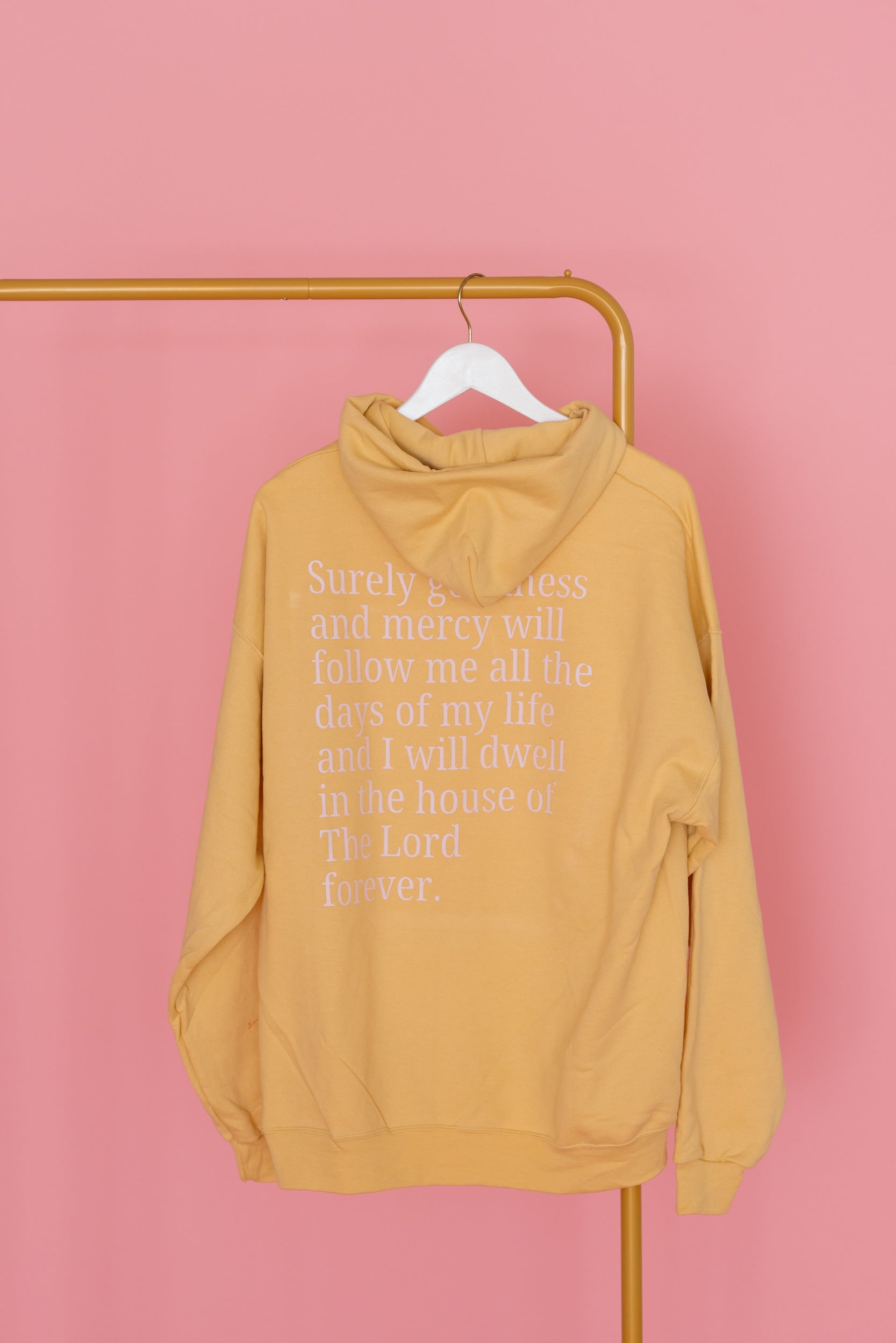 SURELY GOODNESS & MERCY... HOODIE